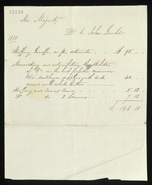 Account from John Gould for stuffing a giraffe and other animals, 1830. GEO/MAIN/32718